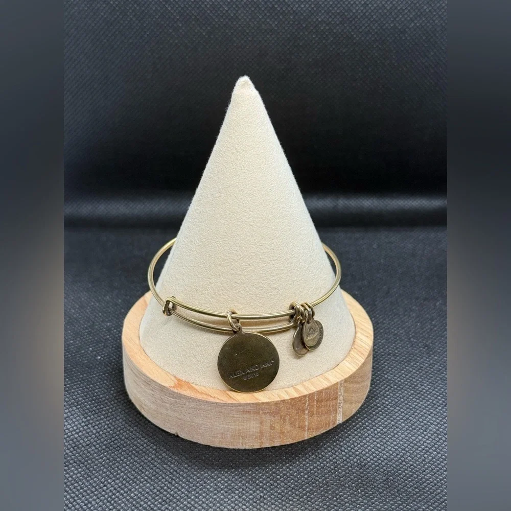 Alex and Ani Gold ‘Sister’ Necklace